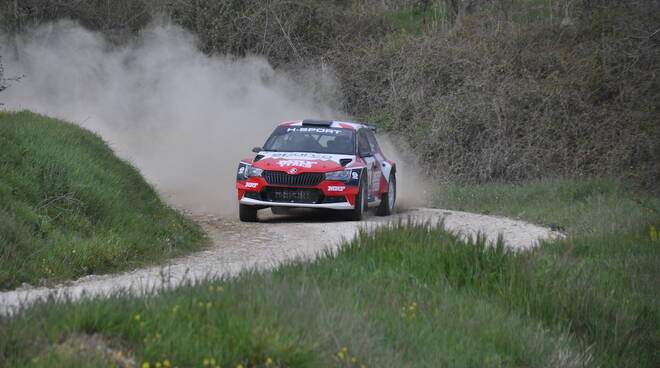 Paolo Andreucci Rally Terra Mrf Tyres