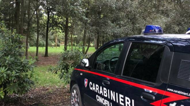 carabinieri viareggio blit in pineta di ponente