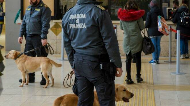 guardia di finanza cane controlli stazione Pisa