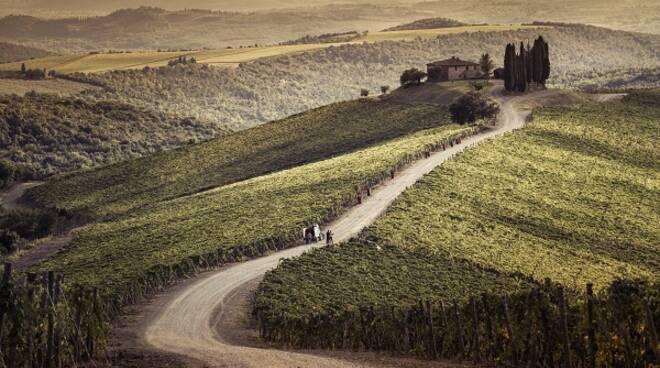 brunello montalcino castiglion del bosco