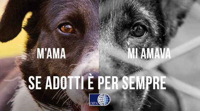 campagna anti abbandono Oipa