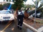 albero piomba su un'auto in sosta a Fucecchio