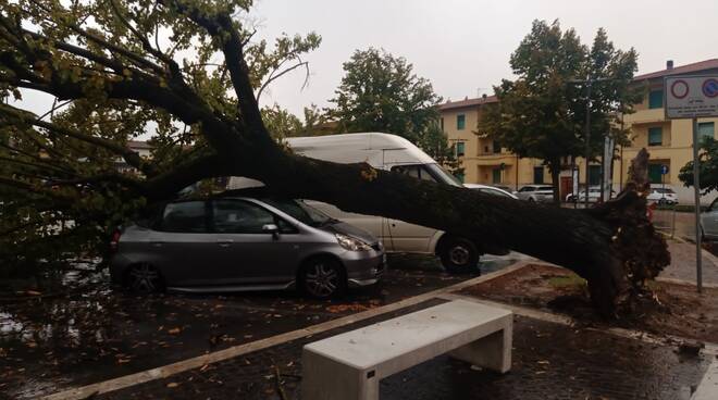 albero piomba su un'auto in sosta a Fucecchio