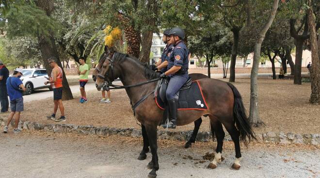 carabinieri a cavallo