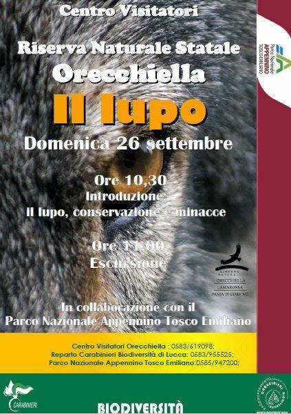 Giornata dedicata al lupo parco dell'Orecchiella 