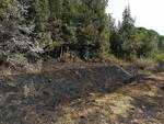 Incendio La Serra e Balconevisi 7 settembre 2021