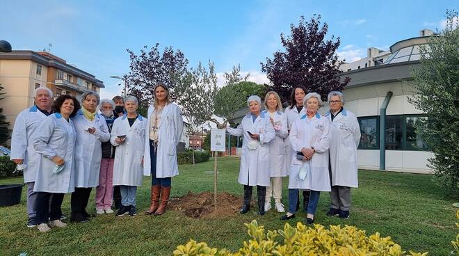 associazione avo evi dona un albero all'ospedale san giuseppe di empoli