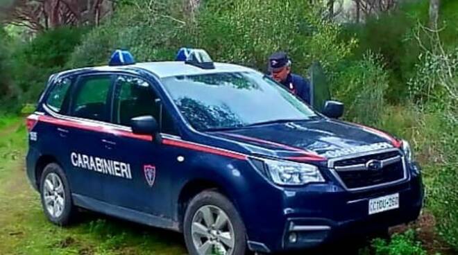 carabinieri forestali