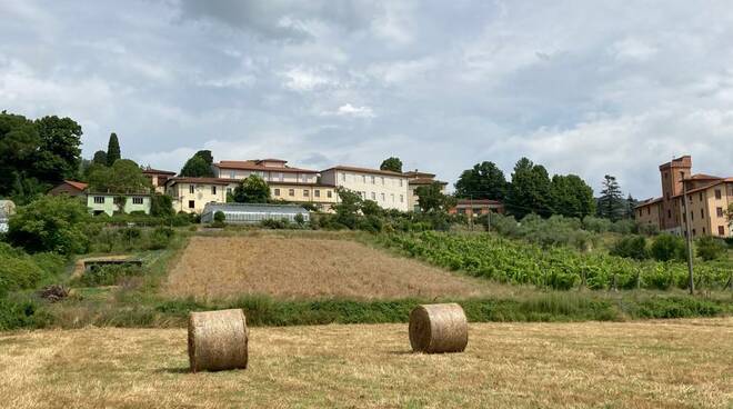 busdraghi istituto agrario Lucca