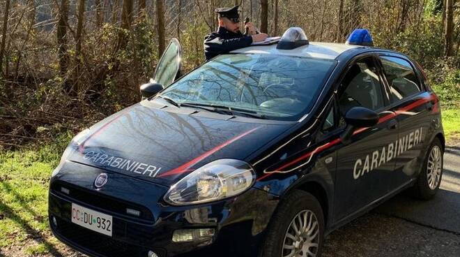 carabinieri bosco