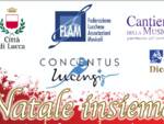 Natale Insieme Concentus Lucensis