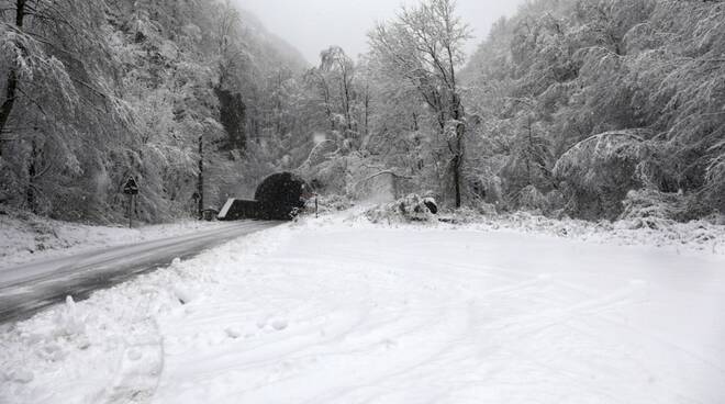 Neve Alta Versilia