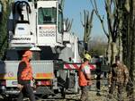 Fucecchio più verde, nuove fasce alberate lungo le zone industriali