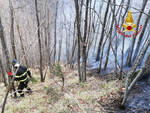 incendio boschivo san marcello piteglio