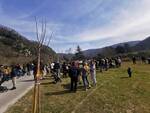 Borgo a Mozzano piantati 25 alberi per ogni nuovo 