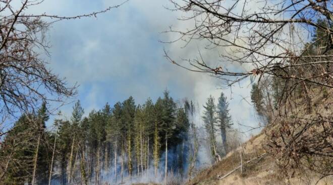 incendio bosco garfagnana