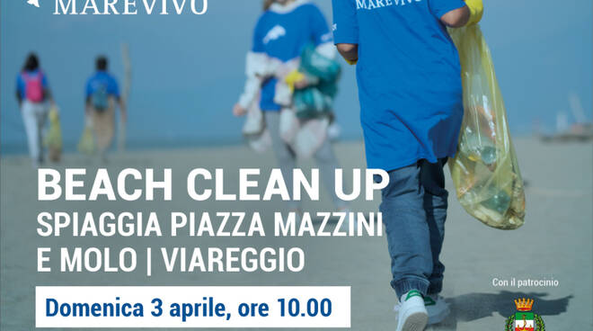 beach clean up Viareggio