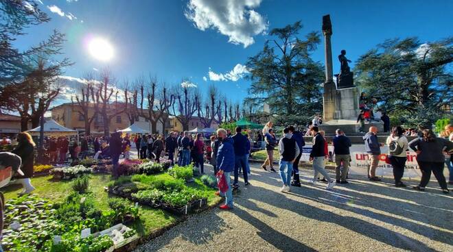 Fioriniferia borgo san lorenzo