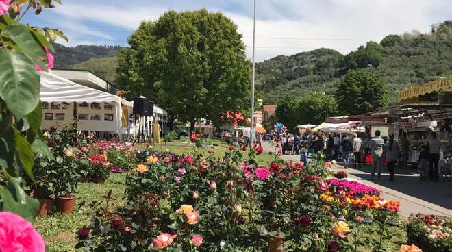 Mostra Agrozootecnica e fiera del Carmine 