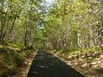 Asfaltatura strada tra Montefegatesi e Orrido di Botri 