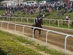 corse addestramento palio di fucecchio