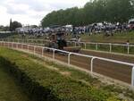 corse addestramento palio di fucecchio