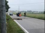 incidente auto cinghiale a biagioni