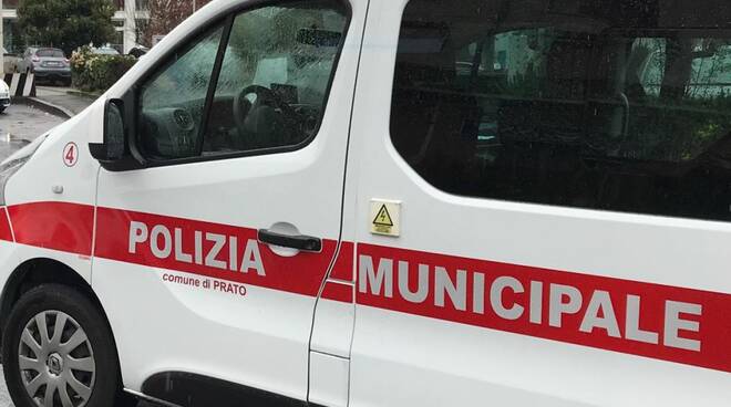 municipale prato