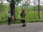 Tragico schianto sulla via Pisana, muore una donna