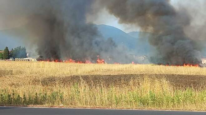 incendio campo grano pisa