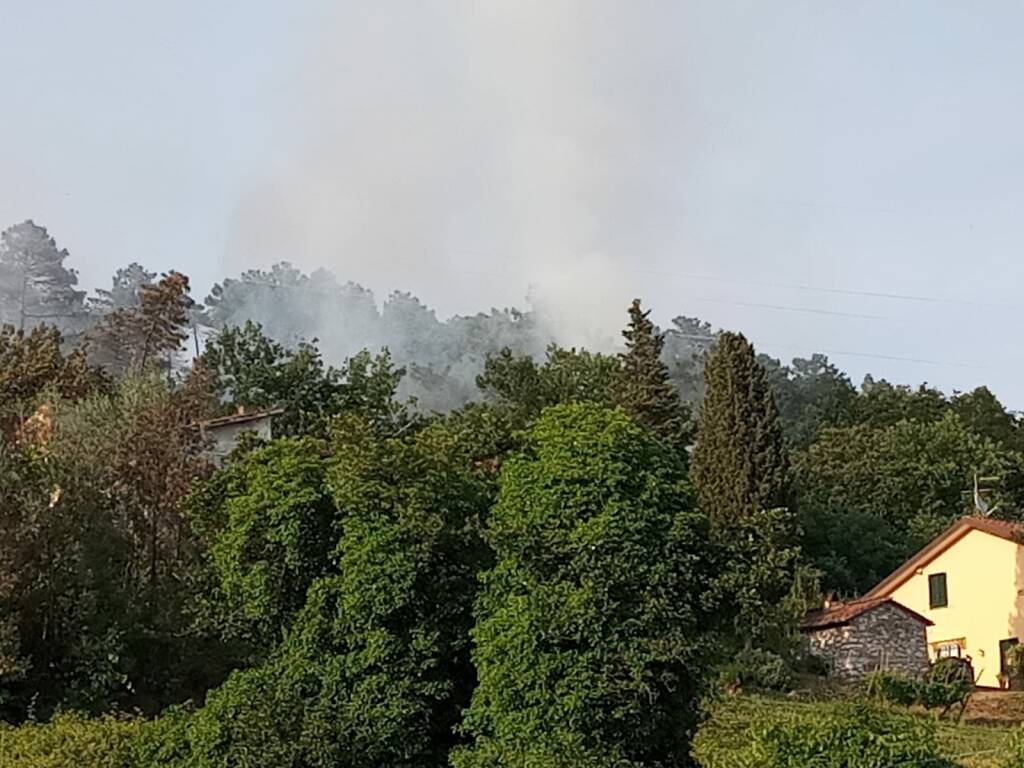 Incendio località Fornace Cappella Lucca bosco case