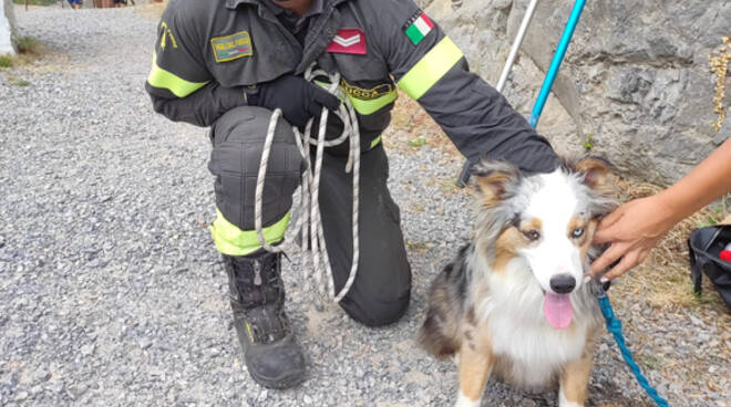 cane salvato dirupo Vagli vigili del fuoco