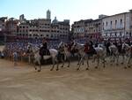 cavalli polizia al palio di siena