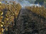 incendio cigoli, san miniato