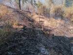 incendio nel bosco tra Chifenti e Corsagna