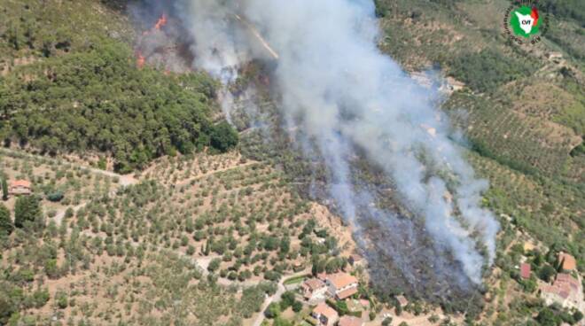 incendio, oliveta, vicopisano