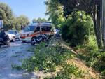 incidente via Aurelia Lido di Camaiore