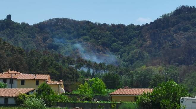 nuovo focolaio a castiglioncello