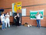 sit in protesta Fials ospedale Versilia 