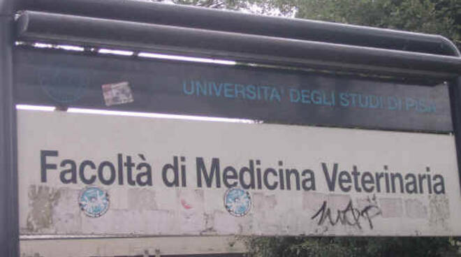 Veterinaria facoltà Pisa