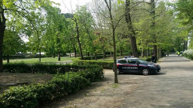 cane batman carabinieri cascine