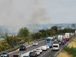 incendio terrafino, fipili