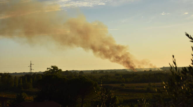 incendio falasco canne Massaciuccoli