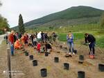 si sposano e donano 100 alberi a vicopisano