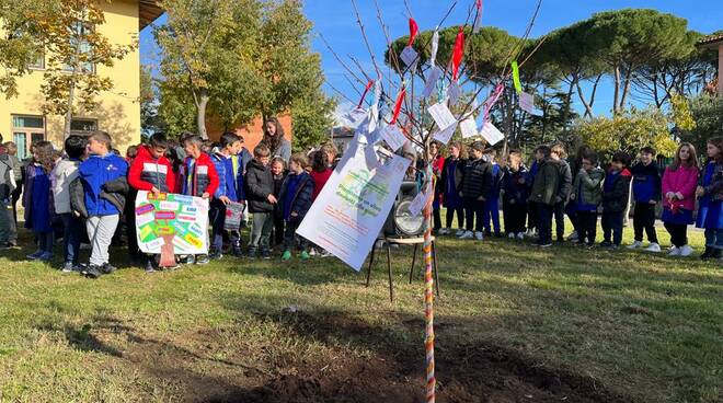 festa dell'albero, scuola, capanne, montopoli valdarno