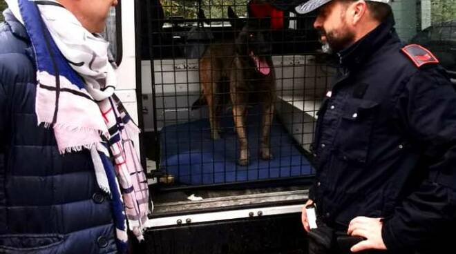 polizia municipale alle cerbaie contro lo spaccio di droga