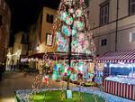 albero ecologico in piazza scalpellini a Lucca