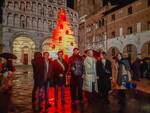 lucca magico natale albero in san martino e bosco monumentale