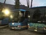 bus vandalizzati a camaiore