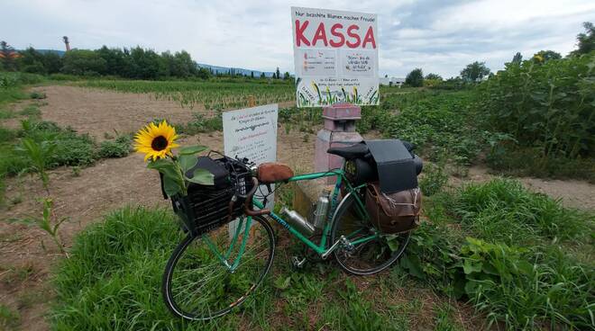 paolo-mariotti-ciclista-giappone